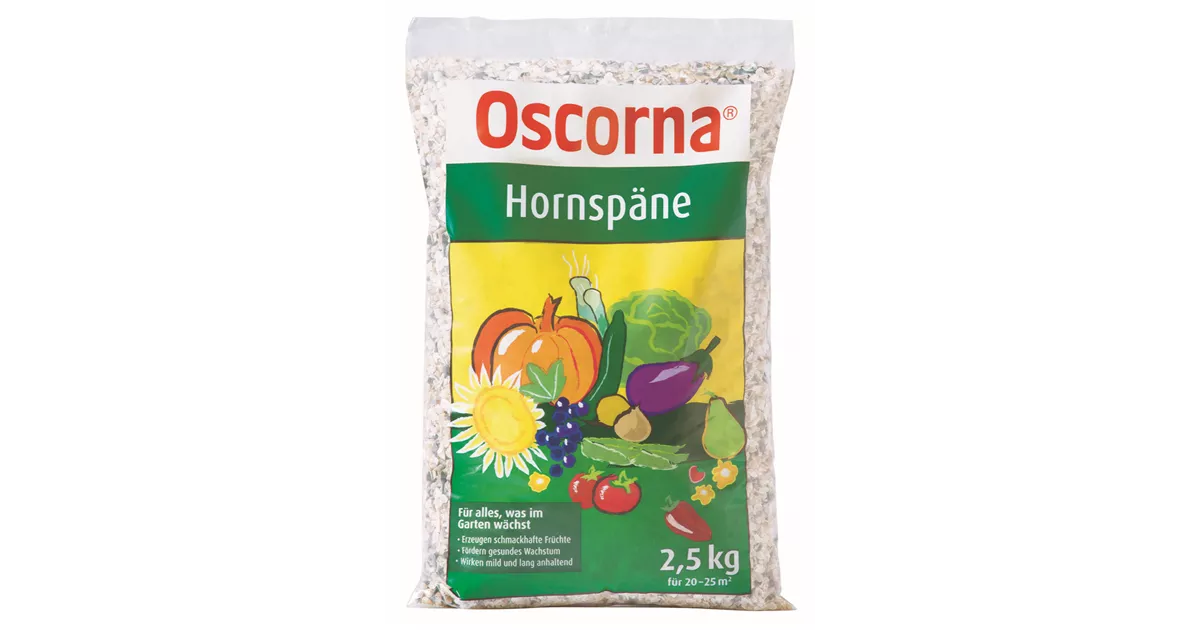 OscornaHornspäne im