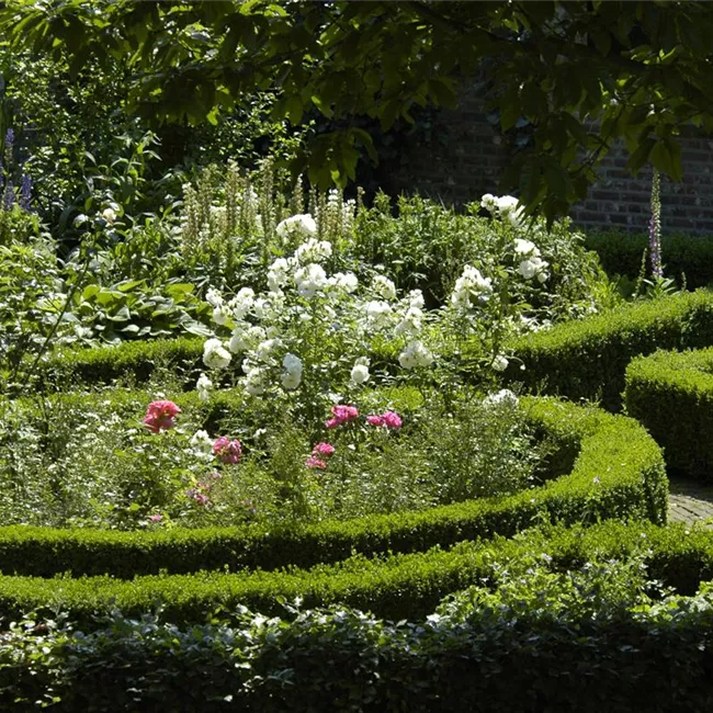 Cottage Garden: Englisches Flair im eigenen Garten
