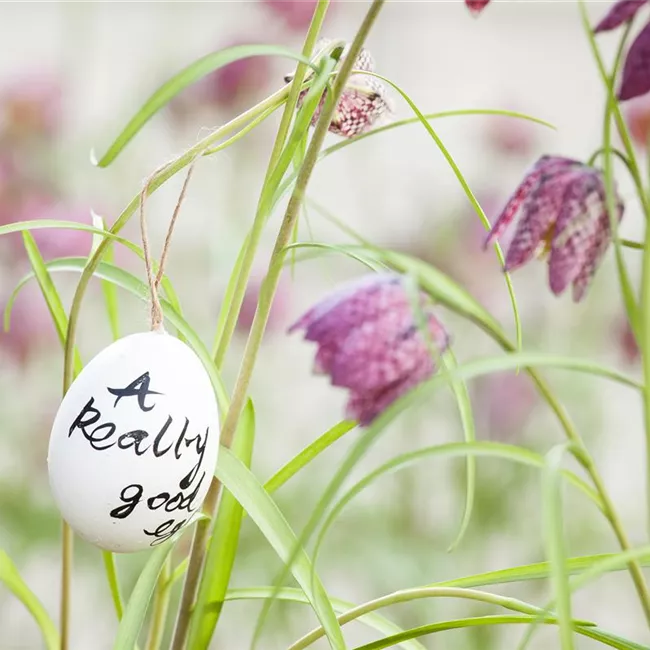 Der Garten für den Osterhasen – ein Frühlingsparadies!