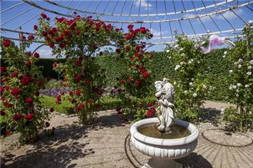 Der Barockgarten: royales Flair im eigenen Garten