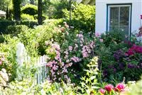 Gartengestaltung – Ideen für den eigenen Garten