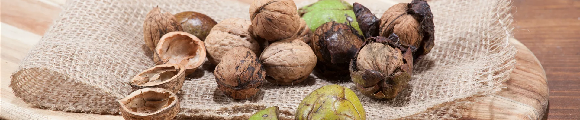 Walnuss auf Küchenbrett Walnuss auf Küchenbrett