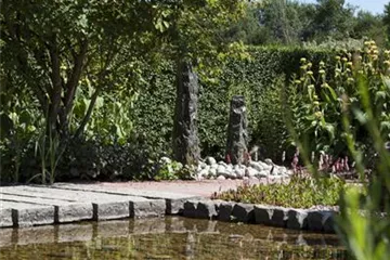 Der Wassergarten - Harmonie und Bewegung zugleich