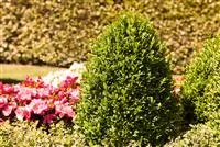 Alles über Buchs Alles über Buchs