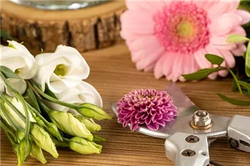Schnittblumen - was hilft wirklich?