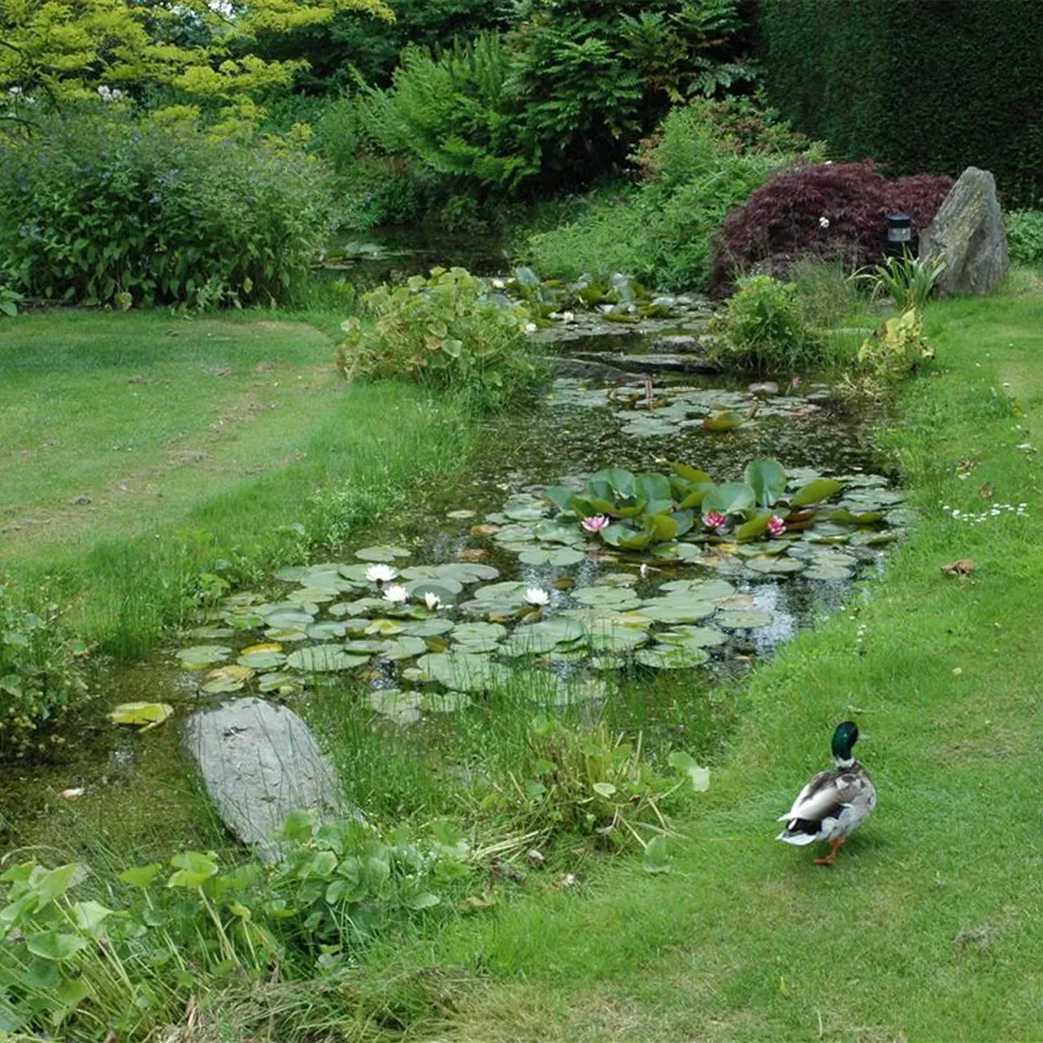 Der Bachlauf im Garten – Wasser bringt Ruhe und Erholung