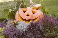 Lecker im Kochtopf oder horrormäßig als Totenkopf – mit dem Kürbis ist alles möglich! Lecker im Kochtopf oder horrormäßig als Totenkopf – mit dem Kürbis ist alles möglich!