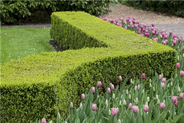 Gartenräume optimal gestalten Gartenräume optimal gestalten