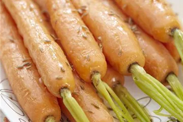 Tipps zur Lagerung von Wurzelgemüse