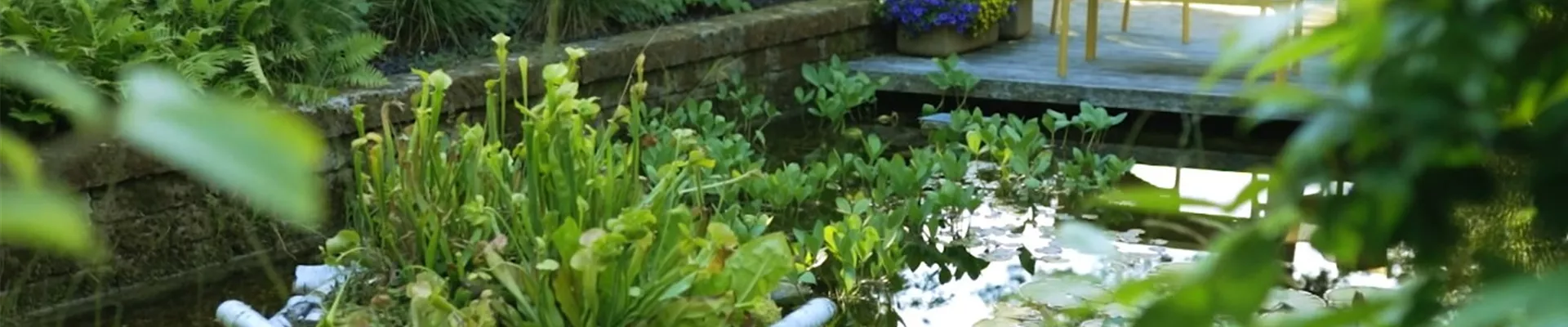 Gartengestaltung- Waldgarten (Thumbnail) Gartengestaltung- Waldgarten (Thumbnail)