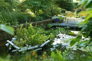 Gartengestaltung - Waldgarten Gartengestaltung - Waldgarten