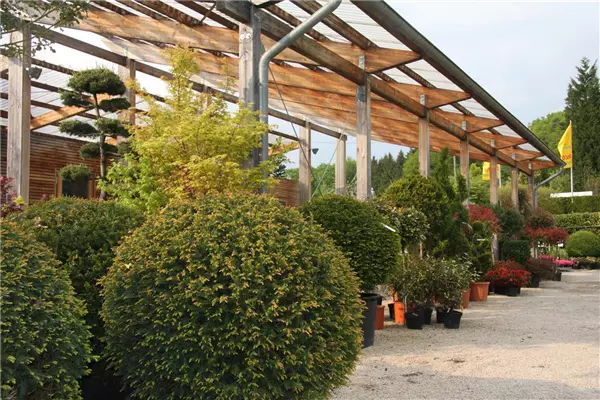 Gartenberatung im Verkaufsgarten Kremer