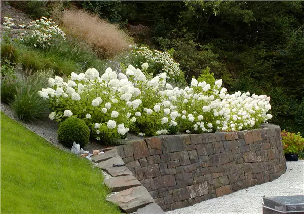 Gartenberatung im eigenen Garten