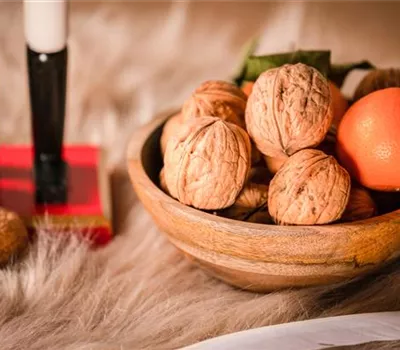 Walnuß