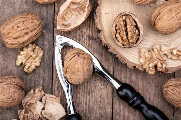 Juglans regia 'Esterhazy II'           CAC Walnuß