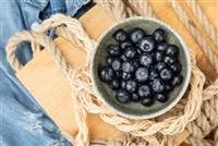 Heidelbeeren als leckerer Snack für Naschkatzen