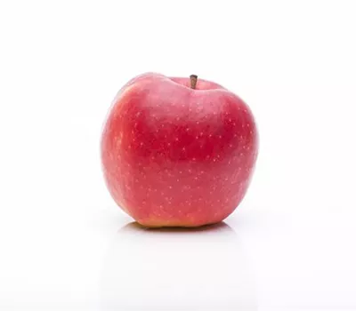 Apfel Feys Record Apfel Feys Record