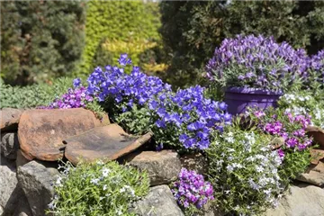 Gartenarbeiten im Mai