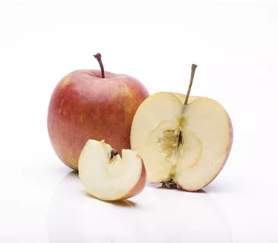 Säulenapfel 'Rhapsodie' -R-