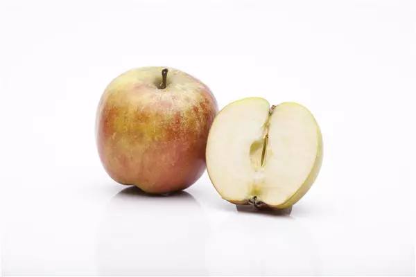 Malus 'Roter Boskoop'                  CAC Apfel Roter Boskoop