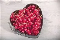 Johannisbeeren – Leckere Snacks für große und kleine Naschkatzen Johannisbeeren – Leckere Snacks für große und kleine Naschkatzen