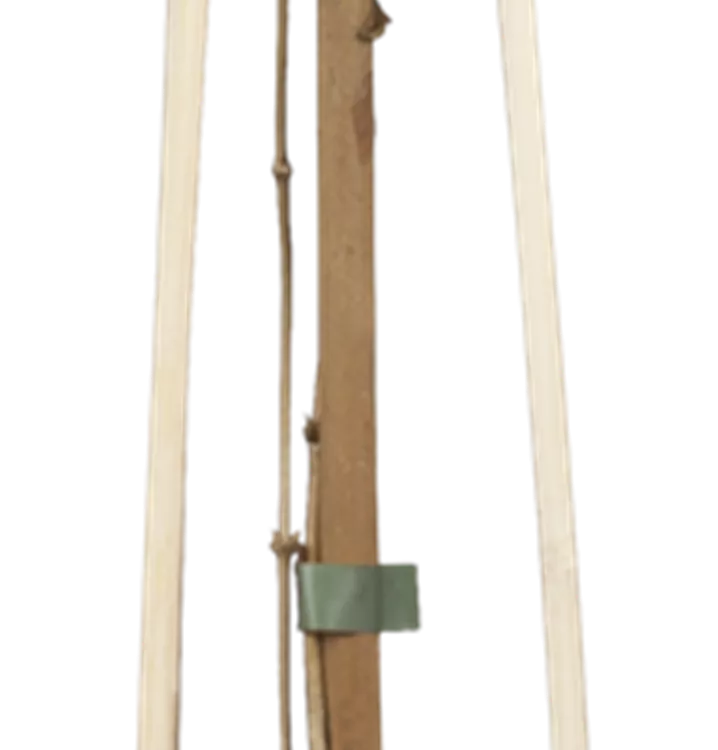 Berg-Waldrebe