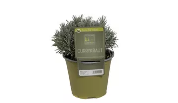 Bildvorschau