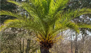 Bildvorschau