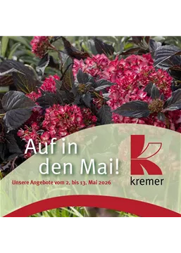 2604002 Kremer Prp5 Insta LAY01.jpg