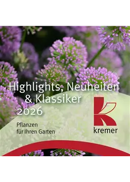 2605002 Kremer Prp Neuheiten Insta LAY01.jpg