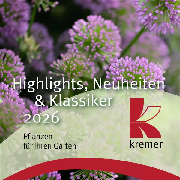 Unsere Highlights und Neuheiten 2026
