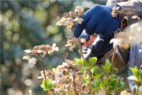 Frühjahrsputz im Garten – Das steht jetzt an