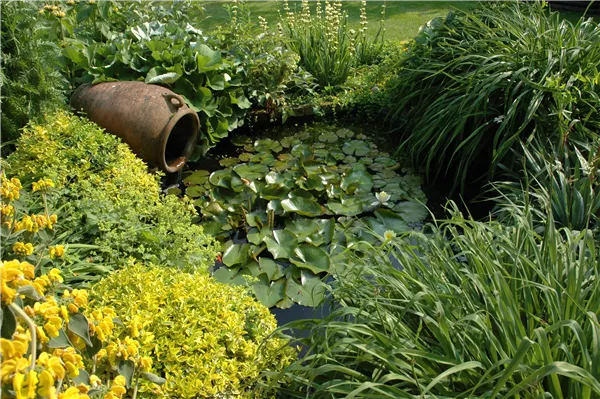 Gartenteich