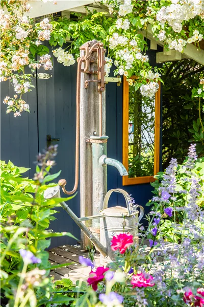 So einfach kann die Gartengestaltung mit Gartenpflanzen sein