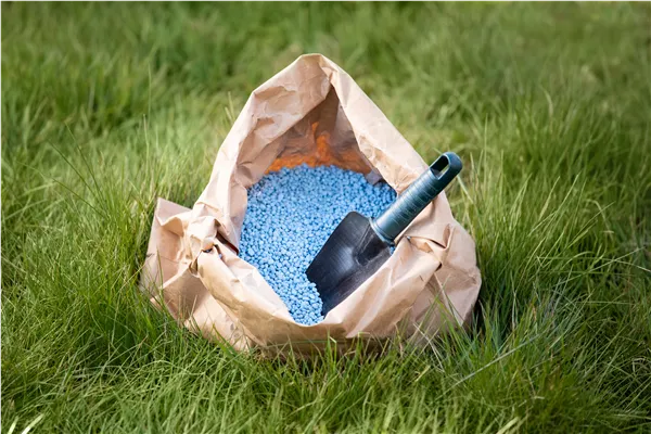 Dünger - Blaukorn