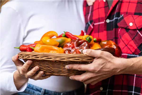 Gemüse richtig lagern – die 10 besten Tipps