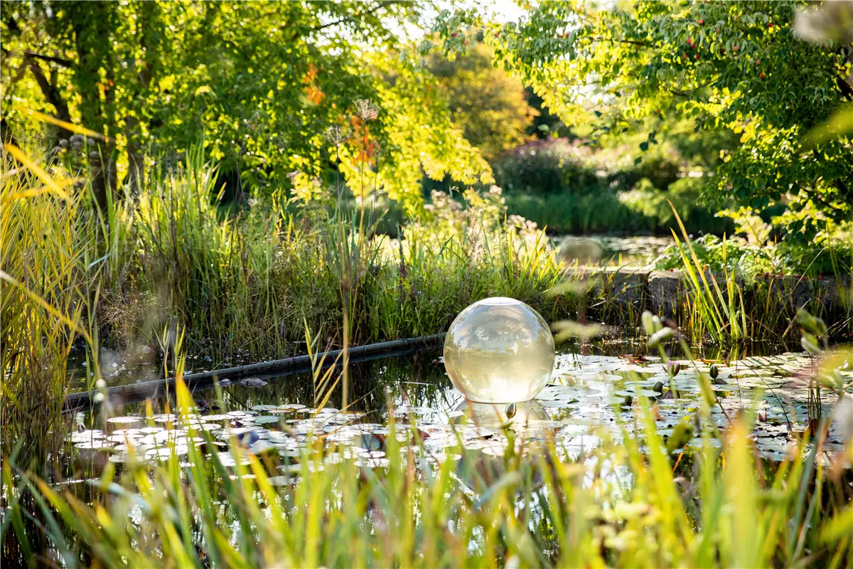 Ein Gartenteich als kleines Stück Natur im eigenen Garten - Gartenwelt Kremer