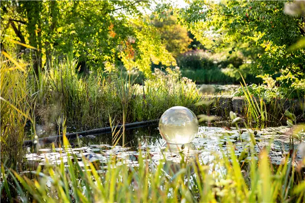 Ein Gartenteich als kleines Stück Natur im eigenen Garten