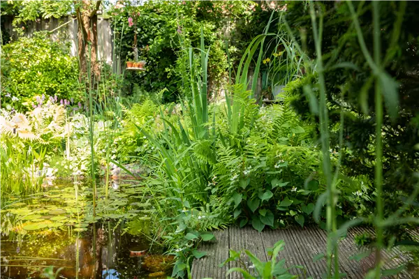 Gartenteich