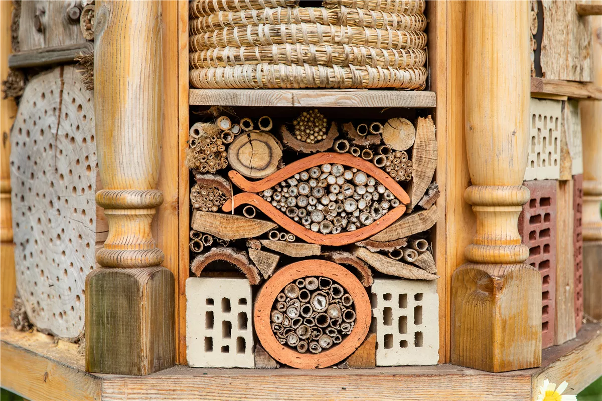 Ein Insektenhotel für fleißige Gartenhelfer selber bauen - Gartenwelt Kremer