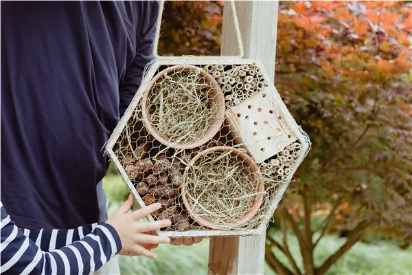 Insektenhotel DIY
