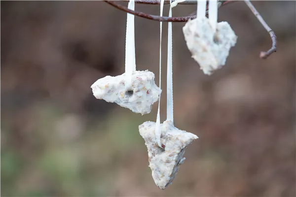 Vogelfutter für hungrige Piepmätze selber machen