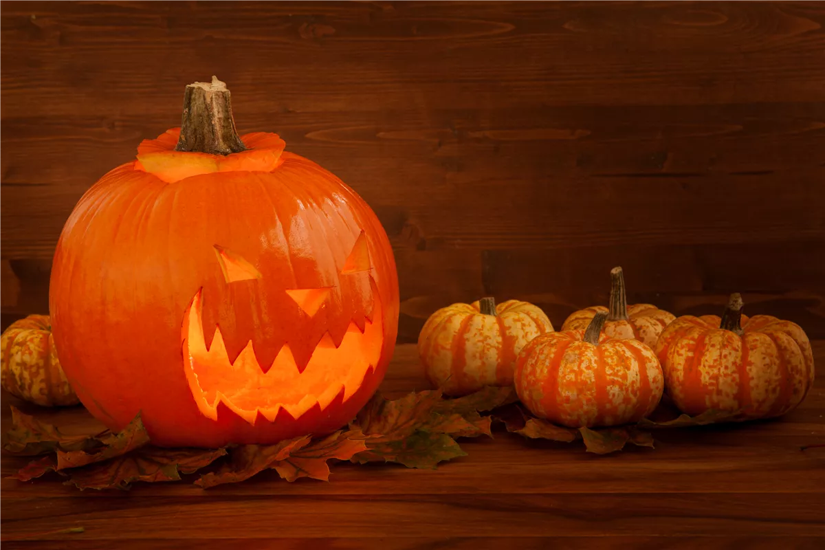 Der Garten zu Halloween – Schaurig schön - Gartenwelt Kremer