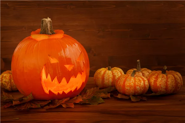 Der Garten zu Halloween – Schaurig schön