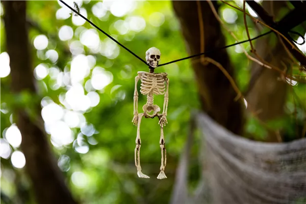Herbstambiente - Halloween Skelett