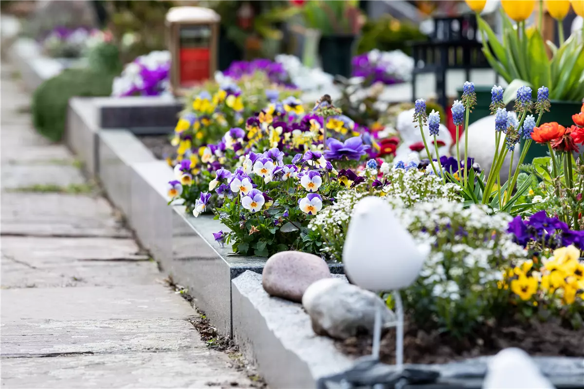 Eine ganzjährige Grabbepflanzung für ein stilvolles Andenken - Gartenwelt Kremer