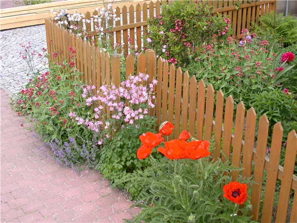 Schick eingerahmt - Die große Vielfalt der Gartenzäune