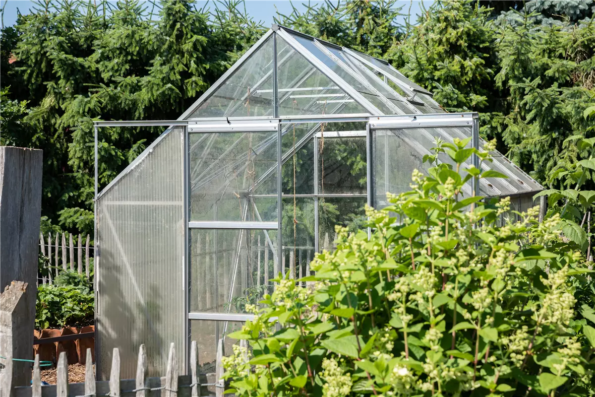 Ob groß oder klein: Gewächshäuser bereichern jeden Garten - Gartenwelt Kremer