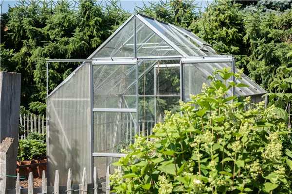Ob groß oder klein: Gewächshäuser bereichern jeden Garten