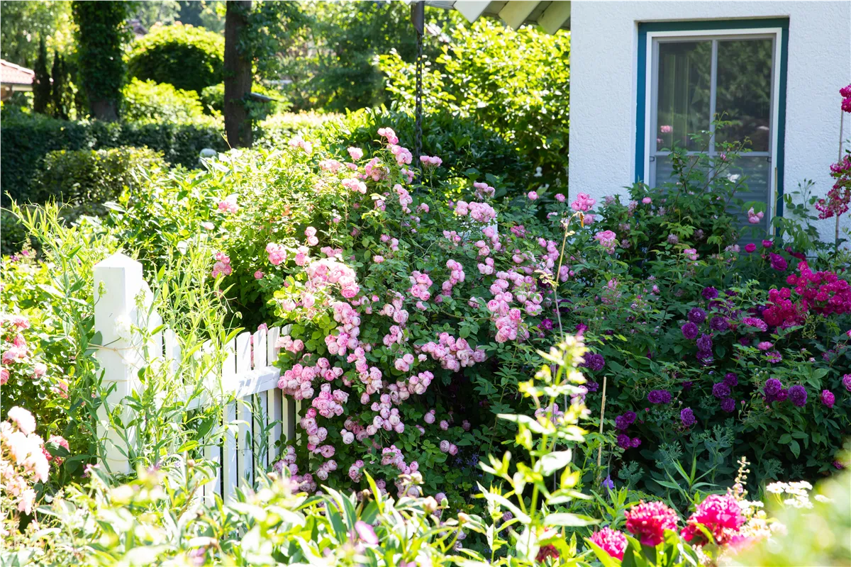 Gartengestaltung – Ideen für den eigenen Garten - Gartenwelt Kremer